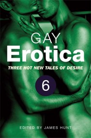 Gay Erotica, Volume 6