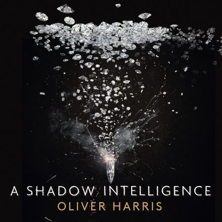 A Shadow Intelligence