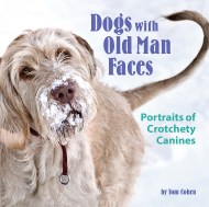Dogs with Old Man Faces